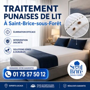 Traitement des punaises de lit à Saint-Brice-sous-Forêt par Antipest Pro